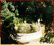 Bild Brunnen